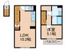 カインドネス金町 1LDKの間取り