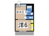 コーポタツミ 1DKの間取り