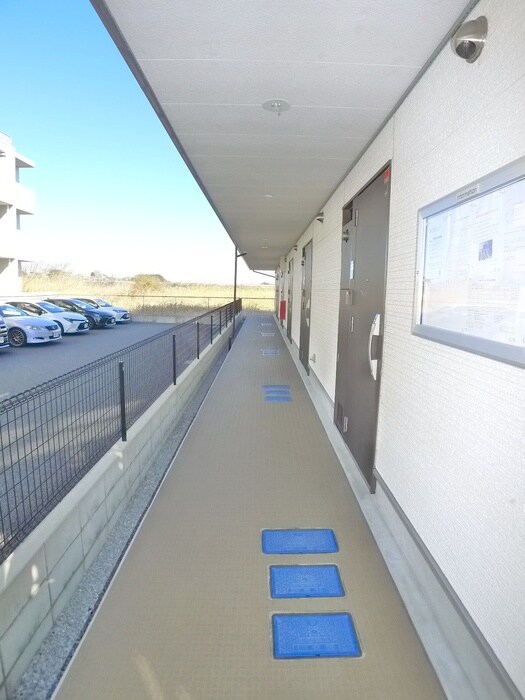 その他 リブリ・Victorias B.G