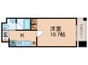 エスティメゾン銀座 1Kの間取り