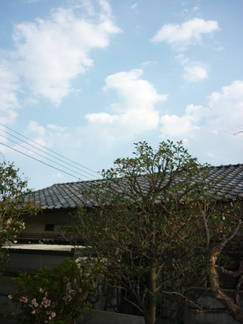 室内からの展望 ORBITAL8