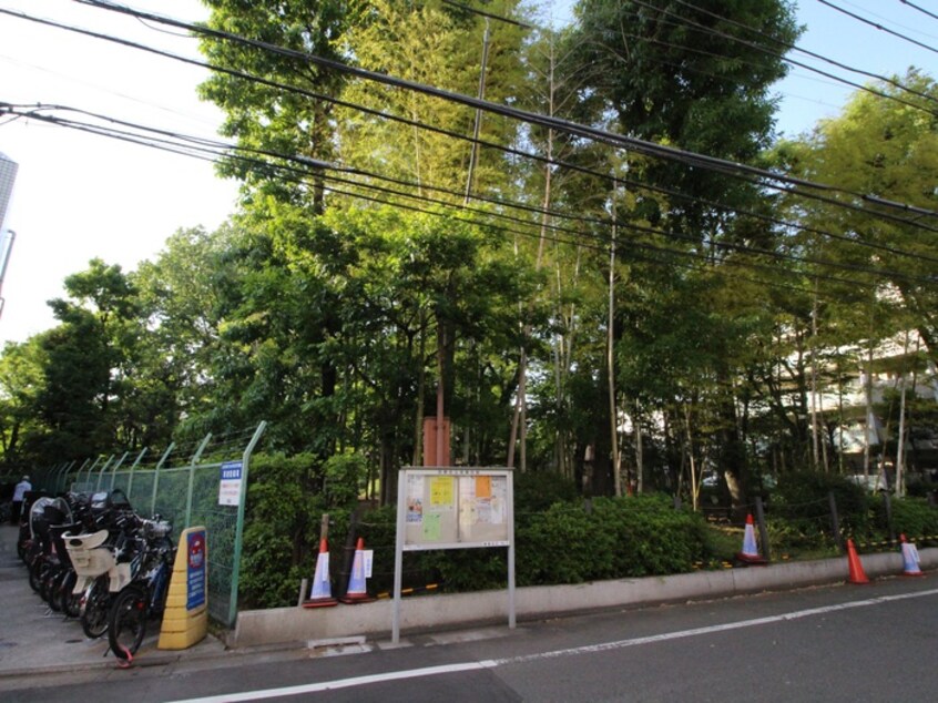 中央緑地公園(公園)まで10m パークサイド学芸大