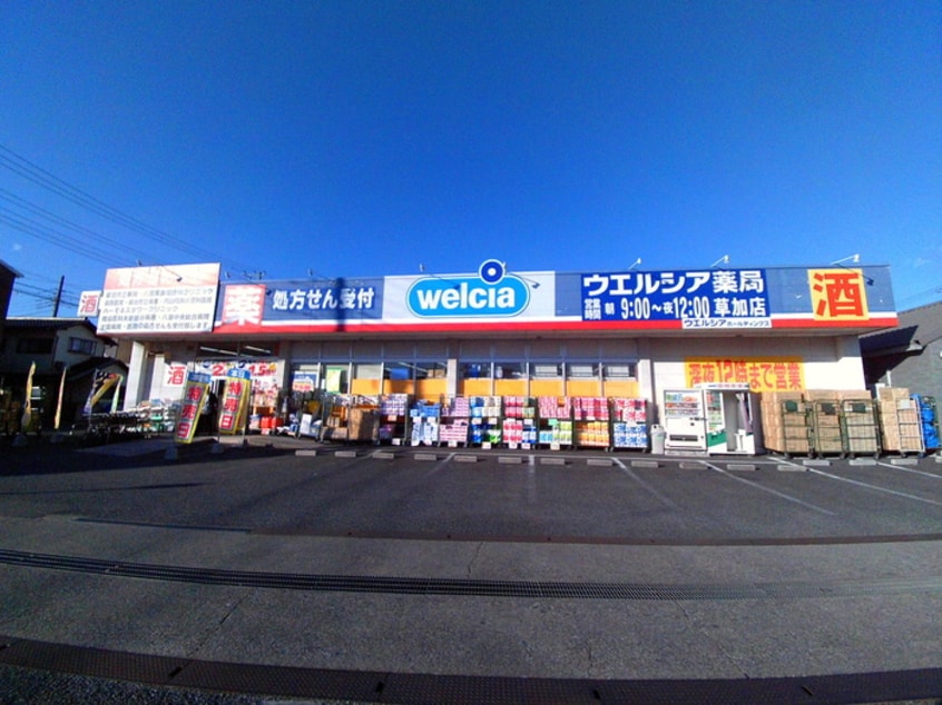 ウエルシア(ドラッグストア)まで303m ハイツ氷川