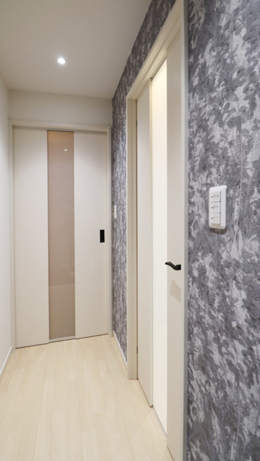 廊下 メゾントパ－ズ