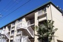 完成写真