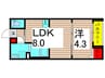 rh-AYASE 1LDKの間取り