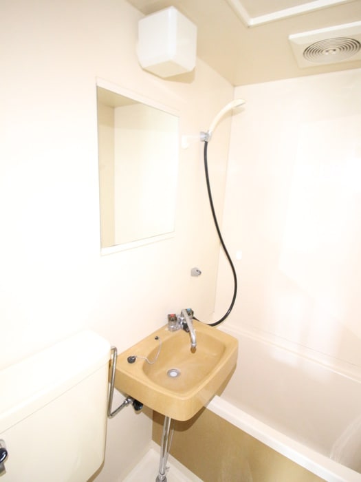 洗面 フレクション海老名国分(207)