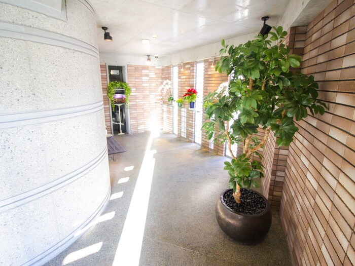 その他 ル－チェビアンコ