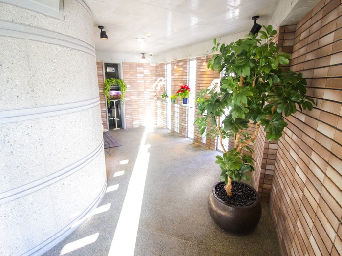 その他 ル－チェビアンコ