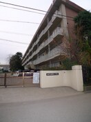 朝霞市立朝霞第三中学校(中学校/中等教育学校)まで409m シオミプラザファ－スト