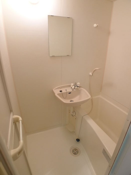 洗面 ローズガーデンカスタリア