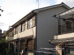 ハイム・ハシモト