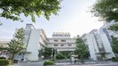 独立行政法人地域医療機能推進機構横浜保土ケ谷中央病院(病院)まで201m すみれマンション