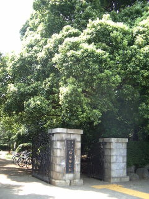 駒場野公園(公園)まで750m マ－ガレットハウス駒場