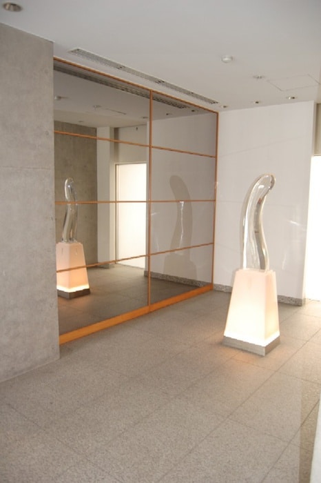 エントランス部分 メゾン・ﾄﾞ・ヴィレ麻布台(403)