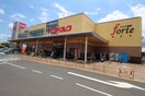 ベルク　フォルテ秦野店(スーパー)まで1110m サンフラワーA（東）