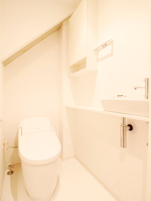 トイレ ＺＯＯＭ広尾(411)