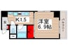 ラニカイビレッジ 1Kの間取り