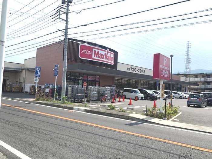 マックスバリュ岩原店(スーパー)まで1100m アイリスＢ棟