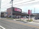 マックスバリュ岩原店(スーパー)まで1100m アイリスＢ棟