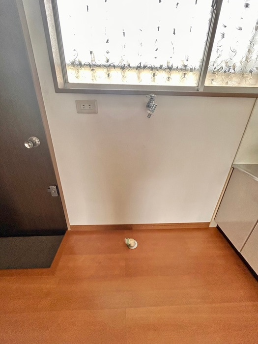 内観写真 ブラウンハウス