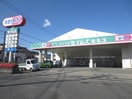 セイムス(ドラッグストア)まで142m Lill相模原A棟