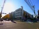 東京都市大学(大学/短大/専門学校)まで331m グランドゥール等々力