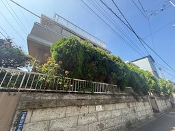 周辺環境