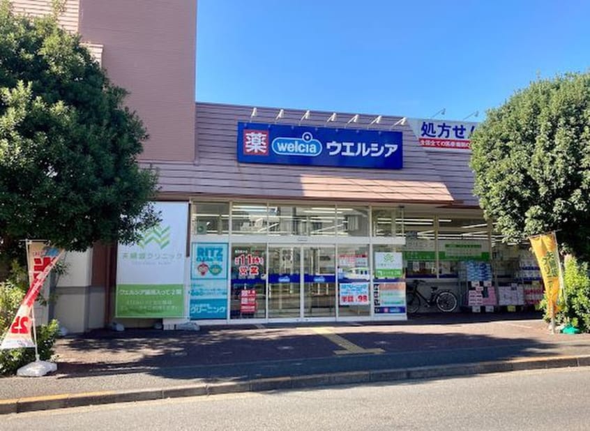 ウェルシア大田上池台店(ドラッグストア)まで327m ハイツエスペランサ