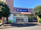 ウェルシア大田上池台店(ドラッグストア)まで327m ハイツエスペランサ