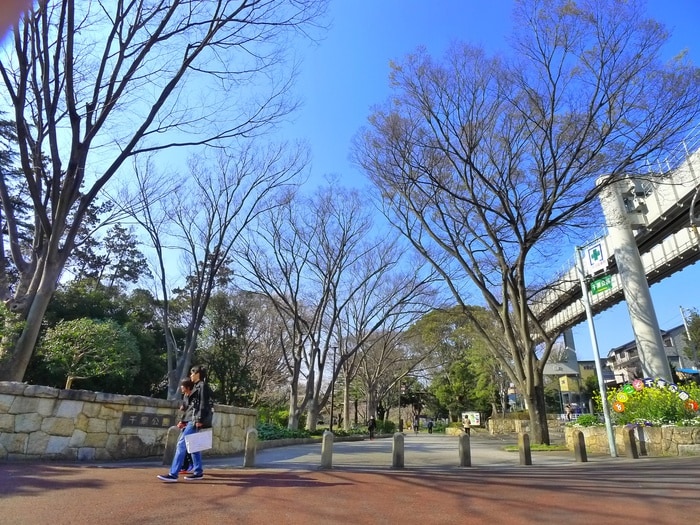 千葉公園(公園)まで165m リブリ・ルームス弁天３