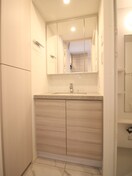 洗面 ザ・パークハビオＳＯＨＯ祐天寺