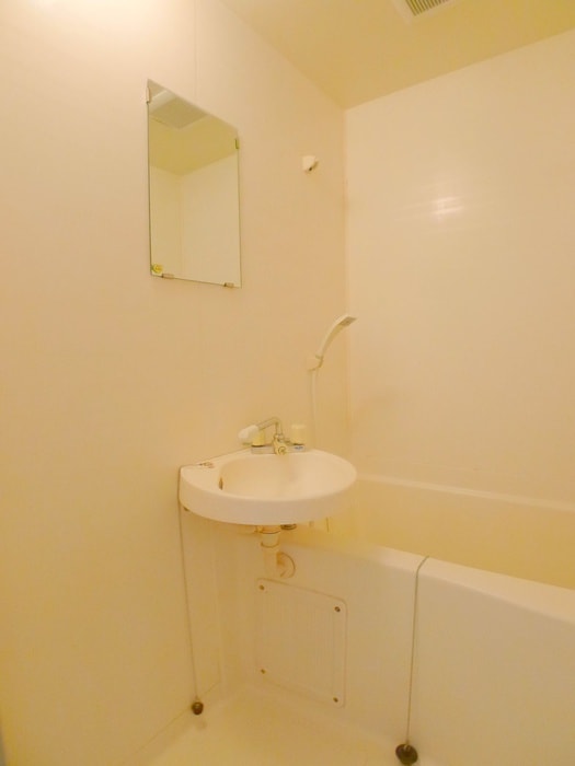 洗面 ロイヤルビレッヂ