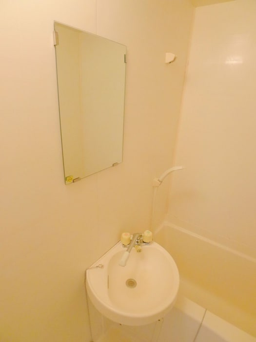 洗面 ロイヤルビレッヂ