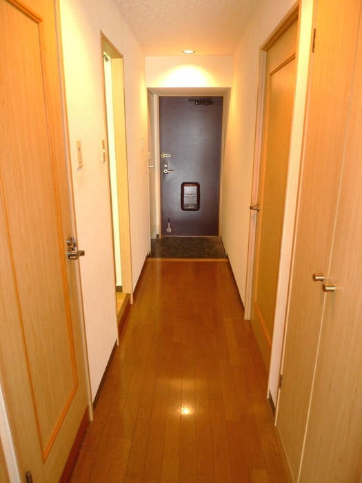 廊下 ダイヤメゾン戸田公園