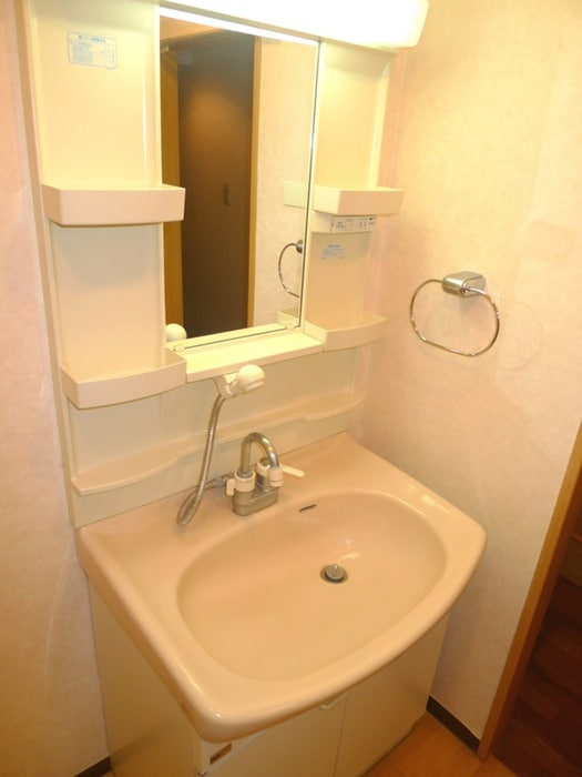 洗面 ダイヤメゾン戸田公園