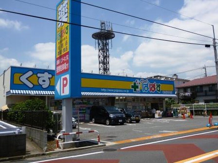 どらっぐぱぱす世田谷中町店(ドラッグストア)まで483m パルホーム等々力