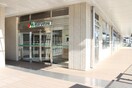 マルエツ　長津田駅前店(スーパー)まで1000m Ｓｕｎハイツ