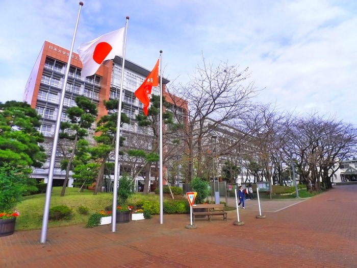 日本大学生産工学部(大学/短大/専門学校)まで251m グレ－シャ－ブル－