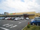 ヨークマート　秦野緑町店(スーパー)まで607m サンガーデン（Ｅ）