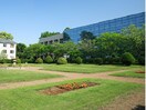 千葉大学(大学/短大/専門学校)まで2000m 小林ビル