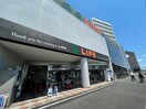 ライフ平和台店(スーパー)まで540m 平和台ハイツ