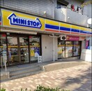 ミニストップ 千早町4丁目店(コンビニ)まで339m フォンテ東長崎