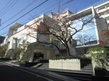 セレソ成城