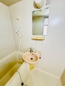 洗面 フォーレスト１