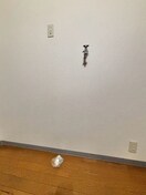 洗濯機置場 フォーレスト１