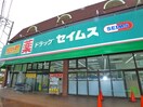 セイムス(ドラッグストア)まで800m 風みどりの家