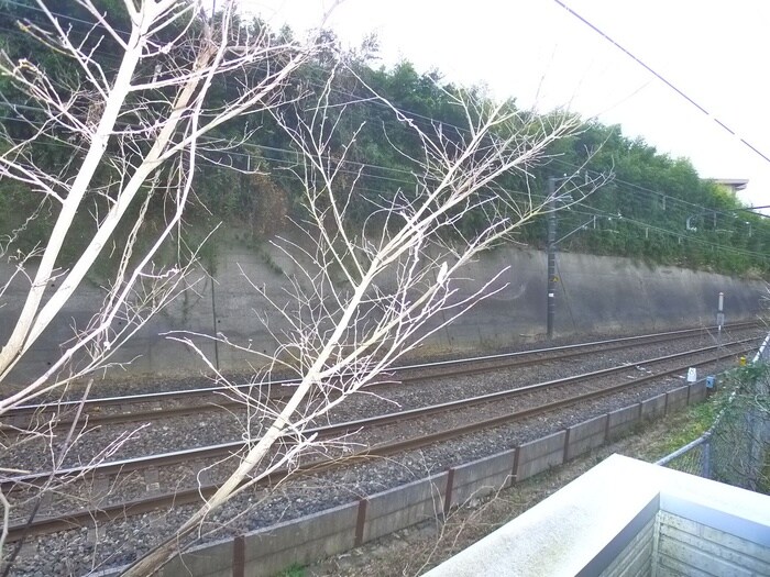 室内からの展望 Ｓｉｒｏ大巌寺