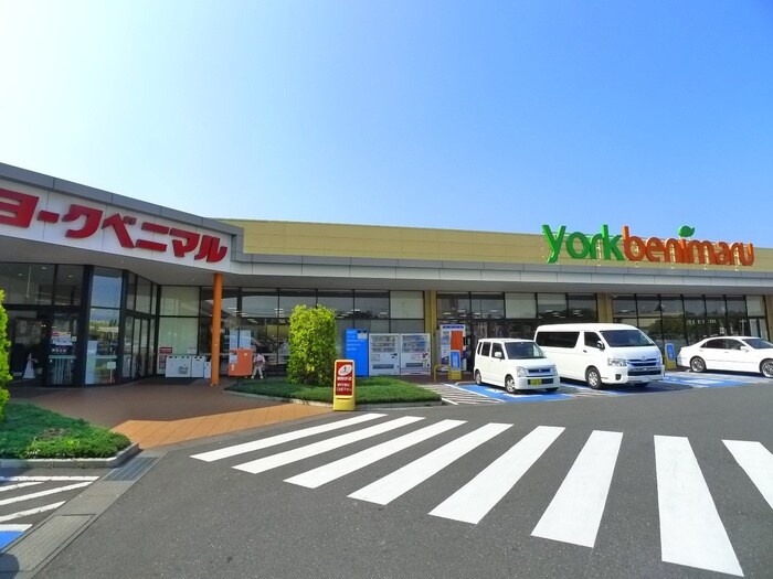 ヨークベニマル(スーパー)まで360m サニーハイツB