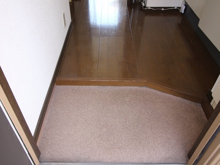 玄関 エクセレントプラザ